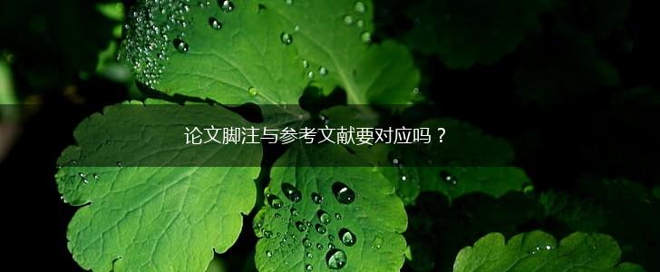 论文脚注与参考文献要对应吗？,第1张