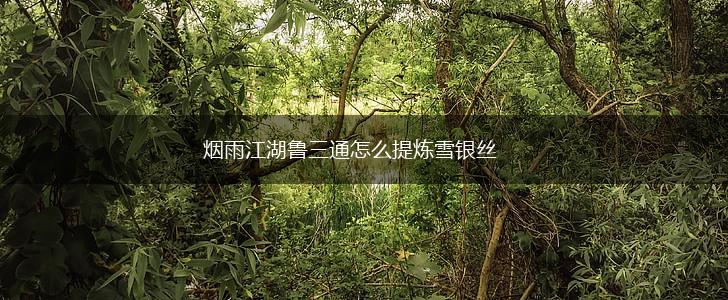 烟雨江湖鲁三通怎么提炼雪银丝,第1张