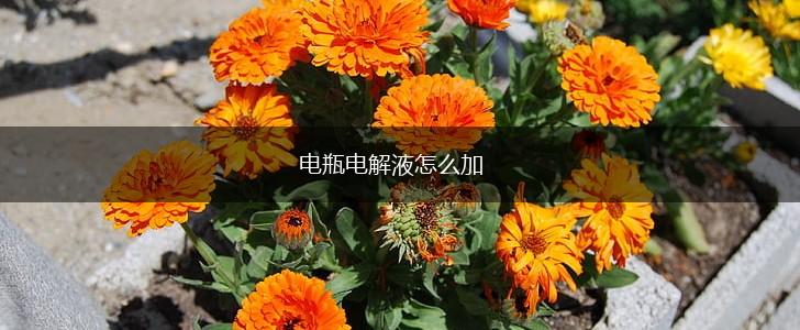 电瓶电解液怎么加,第1张