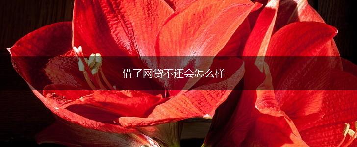 借了网贷不还会怎么样,第1张 借了网贷不还会怎么样,第1张