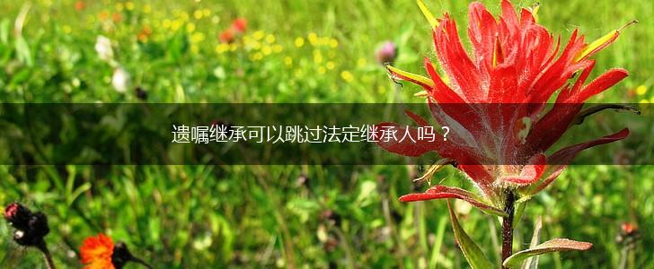 遗嘱继承可以跳过法定继承人吗？,第1张