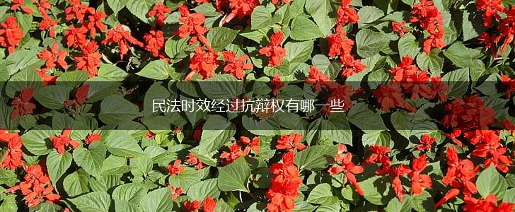 民法时效经过抗辩权有哪一些,第1张