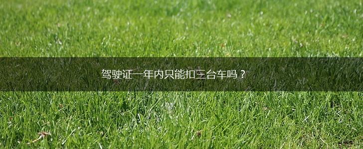 驾驶证一年内只能扣三台车吗？,第1张