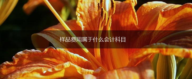 样品费用属于什么会计科目,第1张