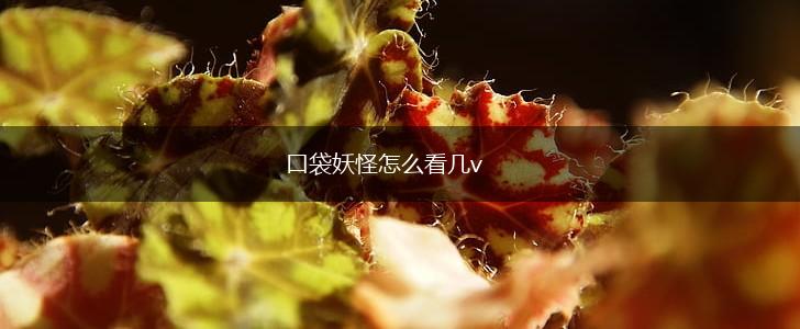 口袋妖怪怎么看几v,第1张