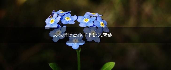 怎么样提高孩子的语文成绩,第1张
