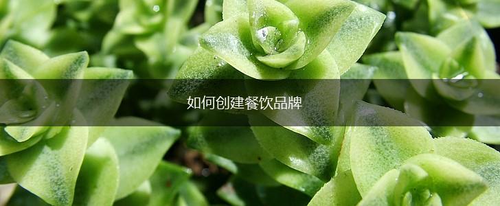 如何创建餐饮品牌,第1张