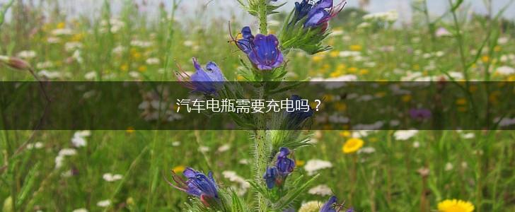 汽车电瓶需要充电吗？,第1张