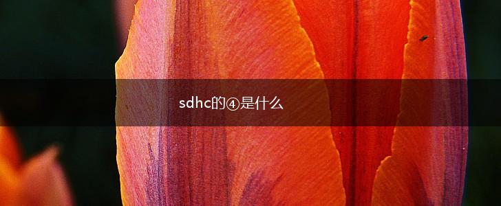 sdhc的④是什么,第1张