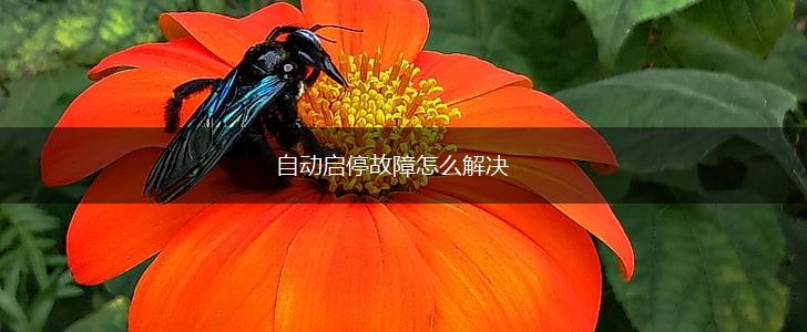 自动启停故障怎么解决,第1张