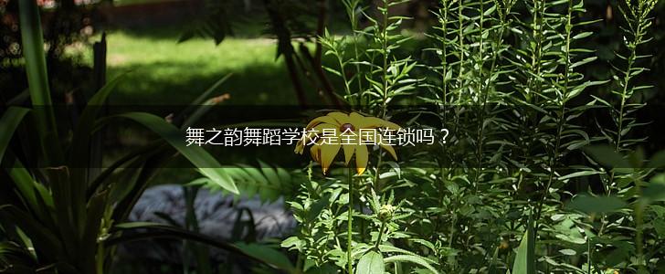 舞之韵舞蹈学校是全国连锁吗？,第1张
