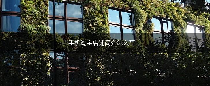手机淘宝店铺简介怎么写,第1张