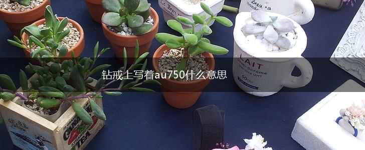 钻戒上写着au750什么意思,第1张