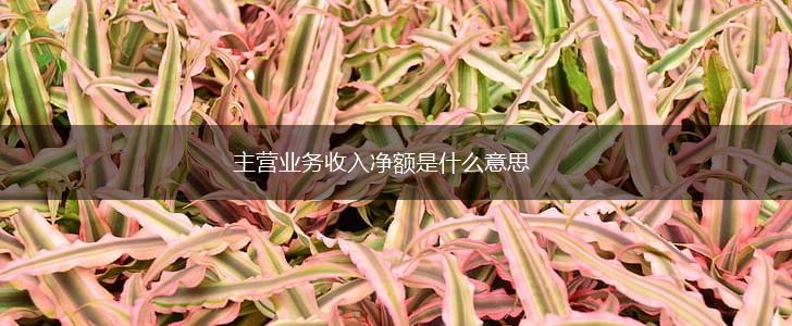 主营业务收入净额是什么意思,第1张