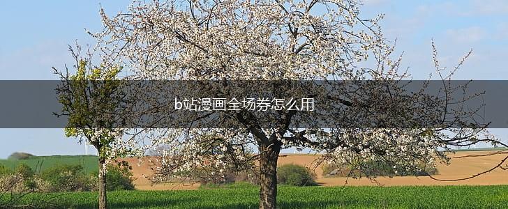 b站漫画全场券怎么用,第1张