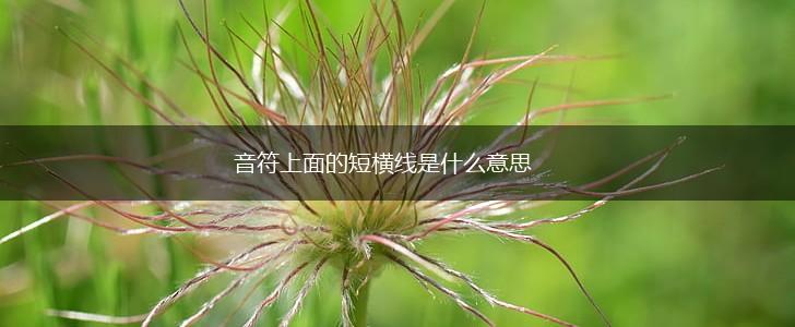 音符上面的短横线是什么意思,第1张