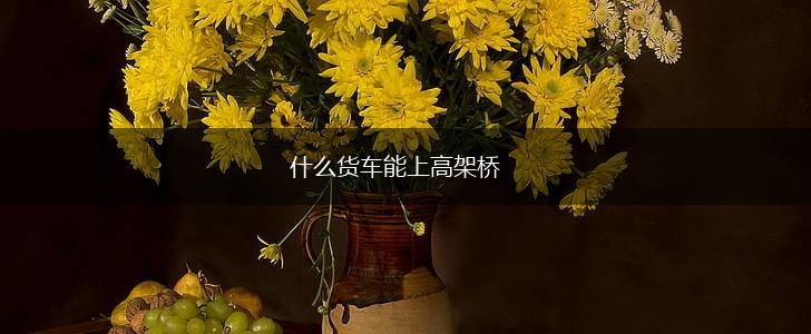 什么货车能上高架桥,第1张