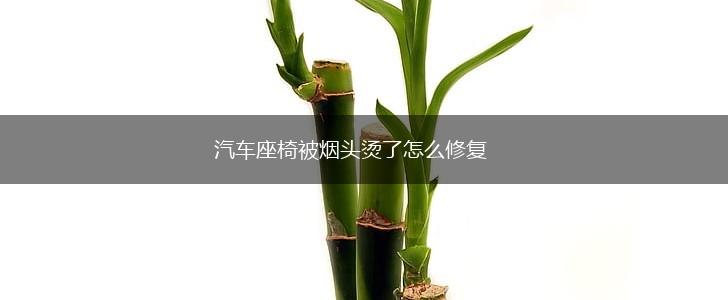 汽车座椅被烟头烫了怎么修复,第1张