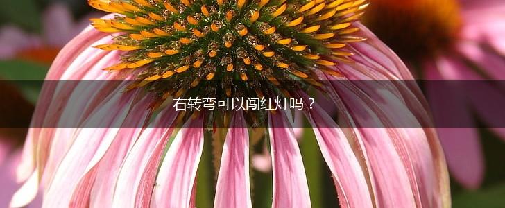 右转弯可以闯红灯吗？,第1张