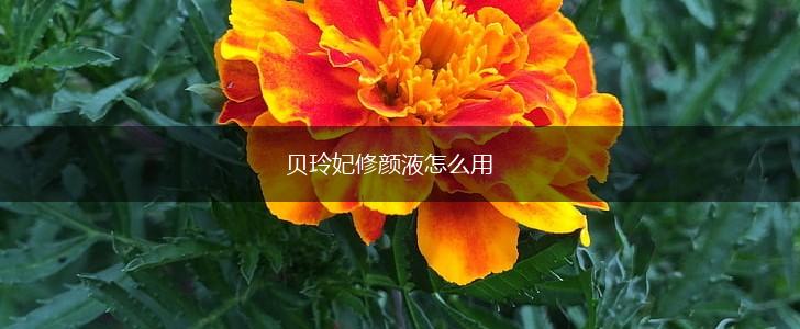 贝玲妃修颜液怎么用,第1张