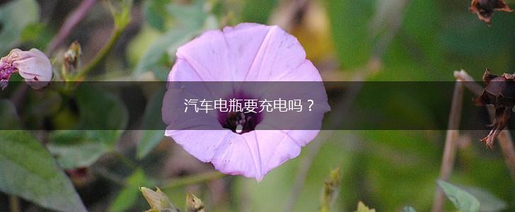 汽车电瓶要充电吗？,第1张