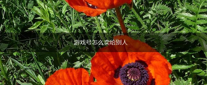 游戏号怎么卖给别人,第1张