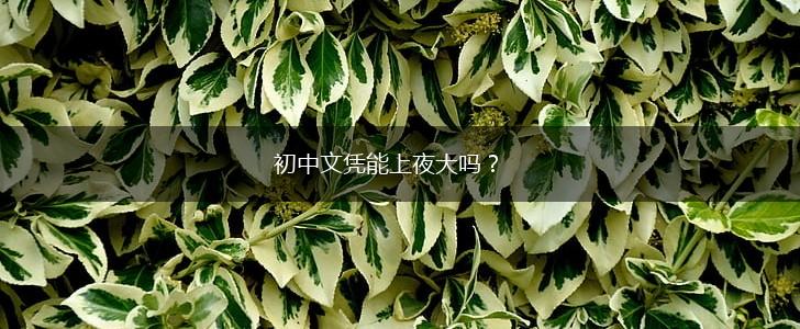 初中文凭能上夜大吗？,第1张