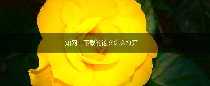 知网上下载的论文怎么打开,第1张