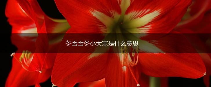 冬雪雪冬小大寒是什么意思,第1张