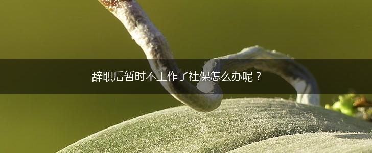 辞职后暂时不工作了社保怎么办呢？,第1张