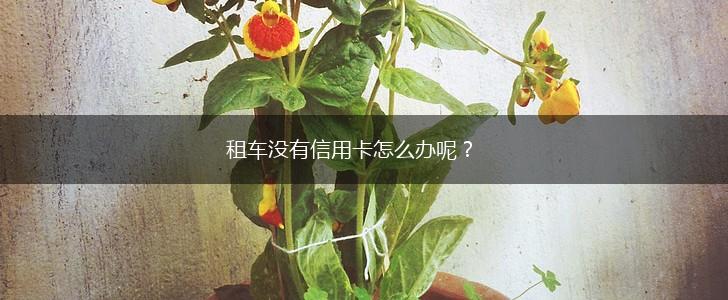 租车没有信用卡怎么办呢？,第1张