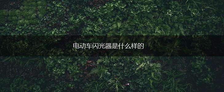 电动车闪光器是什么样的,第1张