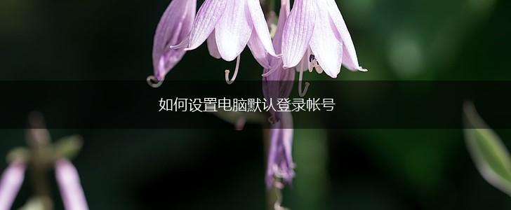 如何设置电脑默认登录帐号,第1张