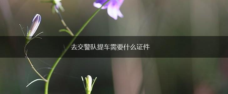去交警队提车需要什么证件,第1张