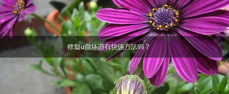 修复u盘坏道有快速方法吗？,第1张