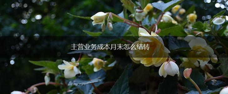 主营业务成本月末怎么结转,第1张