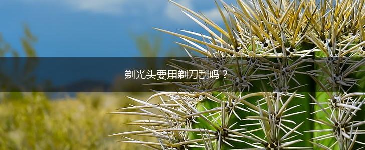 剃光头要用剃刀刮吗？,第1张