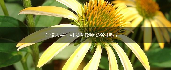 在校大学生可以考教师资格证吗？,第1张