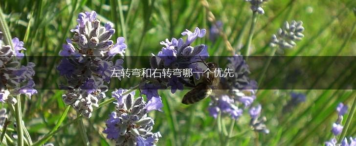 左转弯和右转弯哪一个优先,第1张