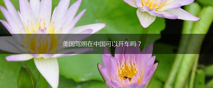 美国驾照在中国可以开车吗？,第1张