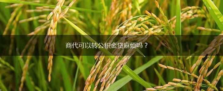 商代可以转公积金贷麻烦吗？,第1张