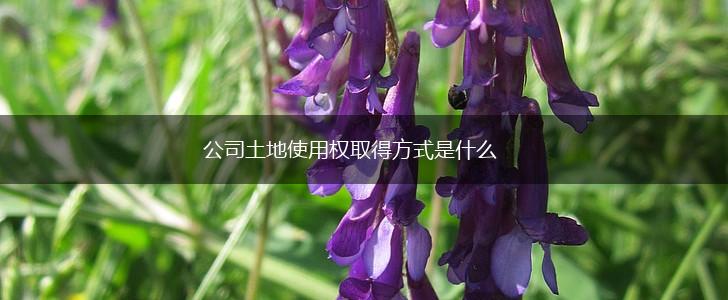 公司土地使用权取得方式是什么,第1张