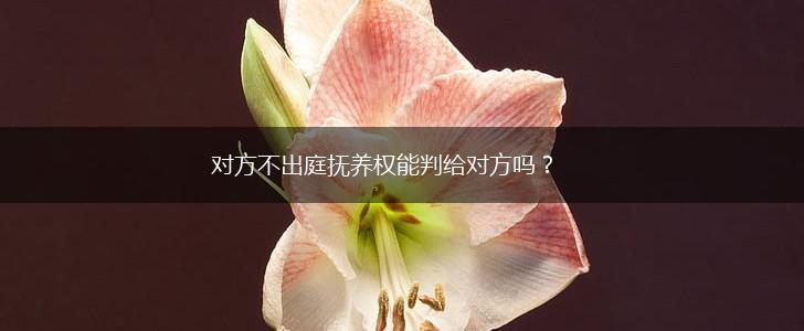 对方不出庭抚养权能判给对方吗？,第1张