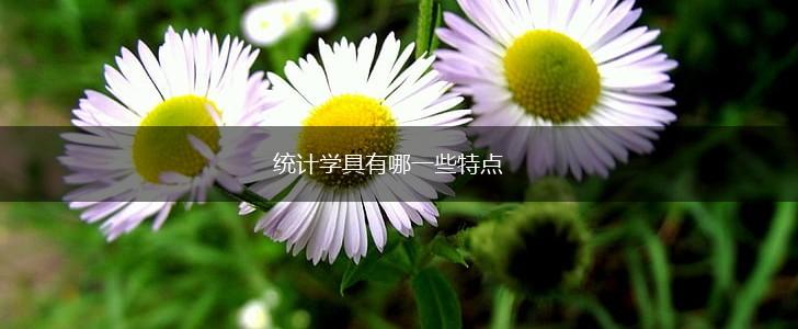 统计学具有哪一些特点,第1张