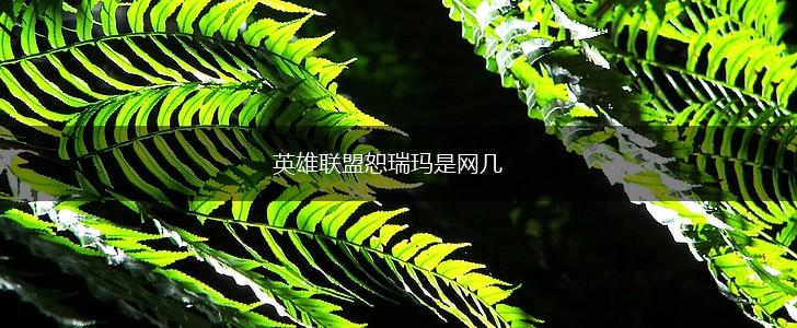英雄联盟恕瑞玛是网几,第1张