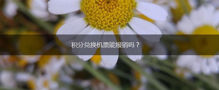 积分兑换机票能报销吗？,第1张