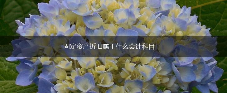 固定资产折旧属于什么会计科目,第1张