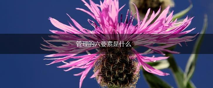 管理的六要素是什么,第1张