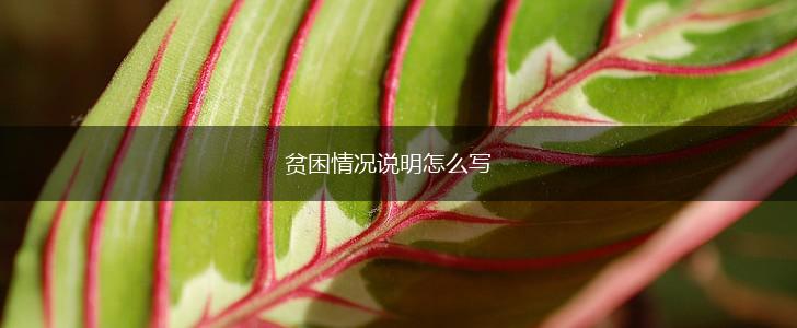 贫困情况说明怎么写,第1张