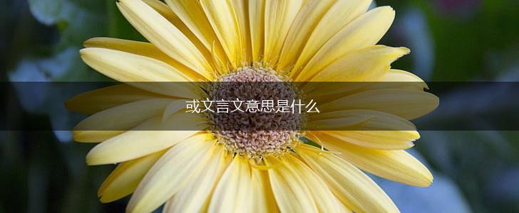 或文言文意思是什么,第1张